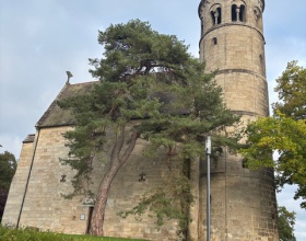 Klosterkirche Lorch